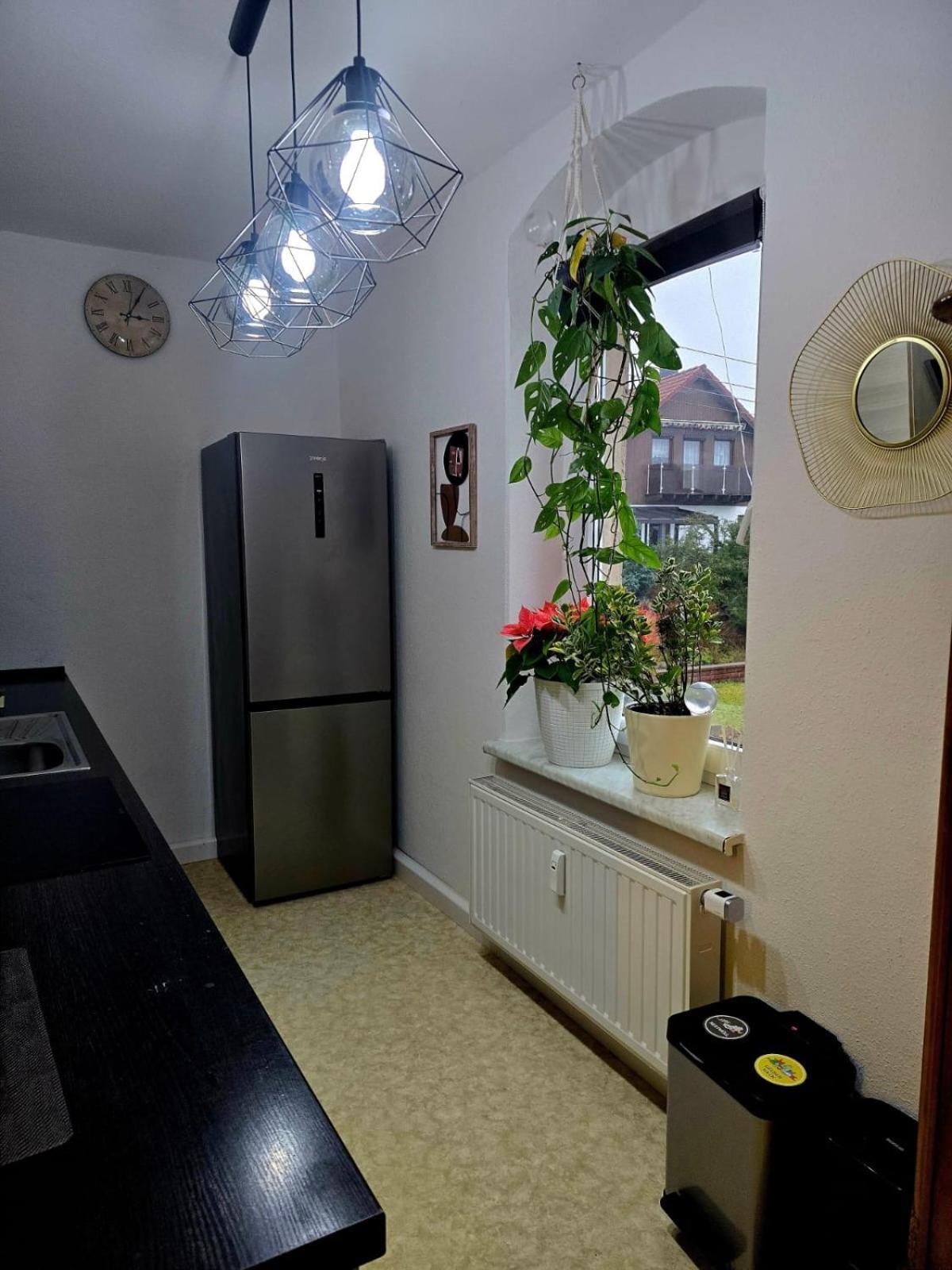Cozy Pet-friendly