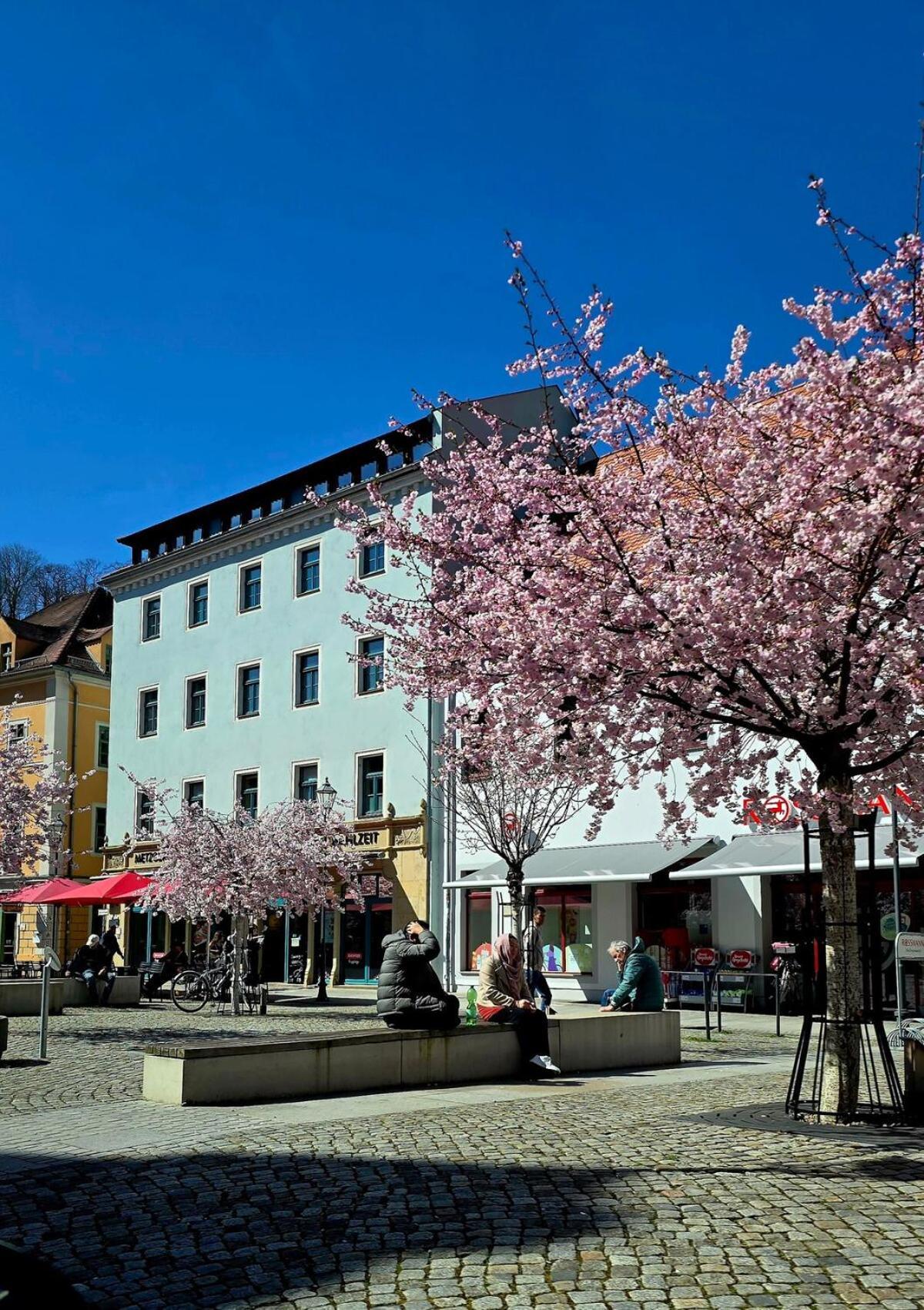 Apartment Cozy Pet-friendly Meissen